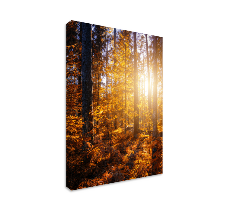 Tableau paysage Arbres de soleil de la forêt - TenStickers