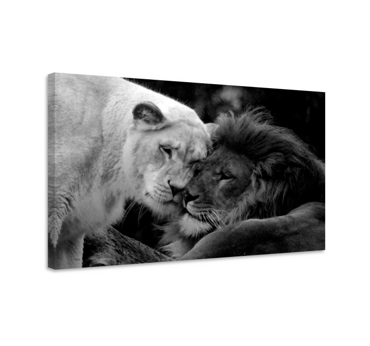 Tableau animal couple de lions en noir et blanc - TenStickers