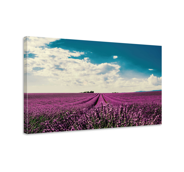 Tableau fleurs et plantes paysage de lavande - TenStickers