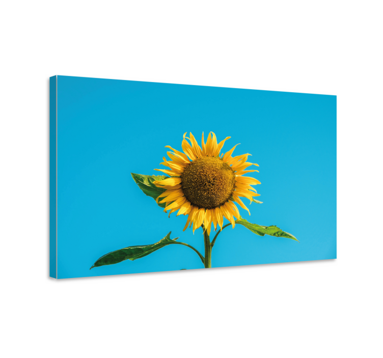 Tableau fleurs et plantes fleur de tournesol éclatante - TenStickers