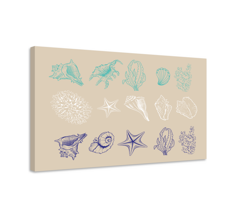 Tableau mer collection de coquillages côte - TenStickers