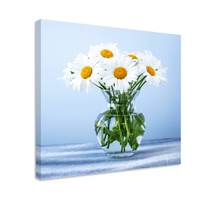 Tableau fleurs et plantes marguerites en verre - TenStickers