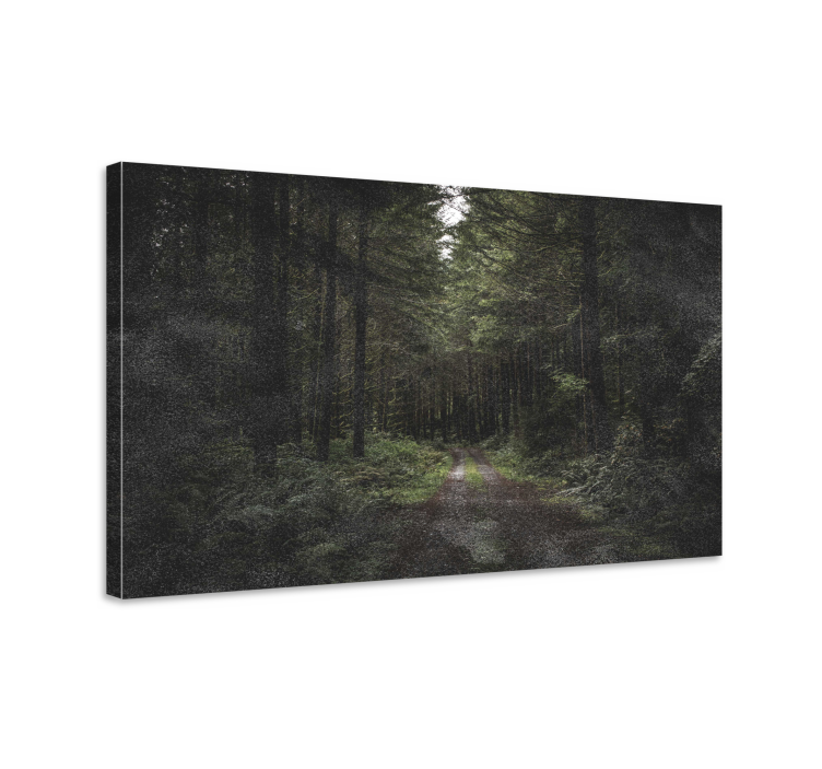 Tableau paysages chemin forestier sérénité - TenStickers