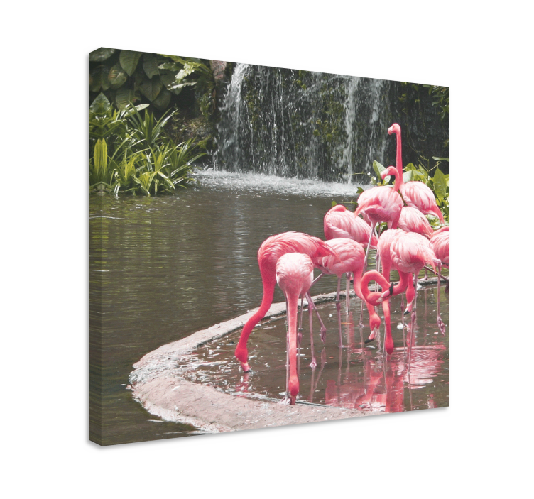 Tableau chiens flock de flamants au bord de la piscine - TenStickers