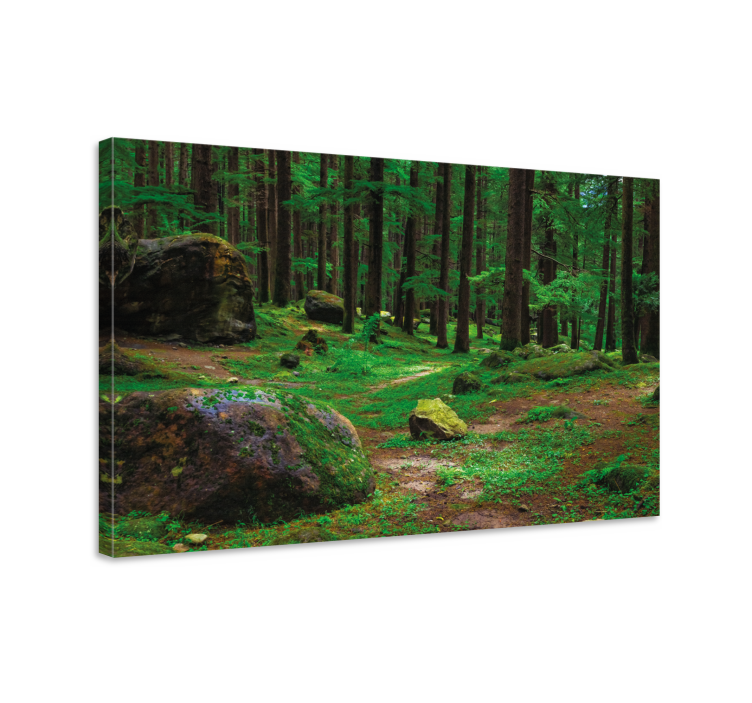 Tableau arbres sentier forestier luxuriant - TenStickers
