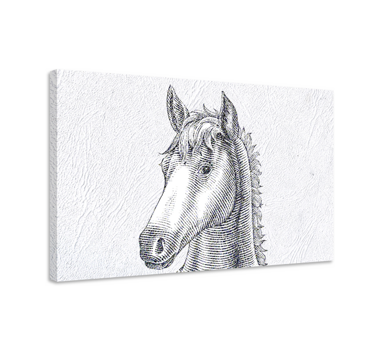 Tableau chevaux croquis élégant de cheval - TenStickers