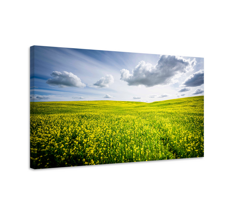 Tableau paysages champ jaune vibrant - TenStickers