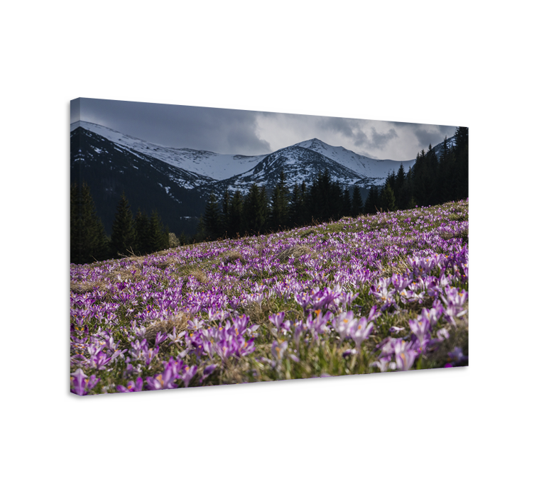 Tableau fleurs et plantes prairie fleurie violette - TenStickers