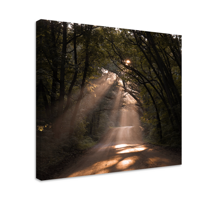 Tableau paysages sentier forestier ensoleillé - TenStickers