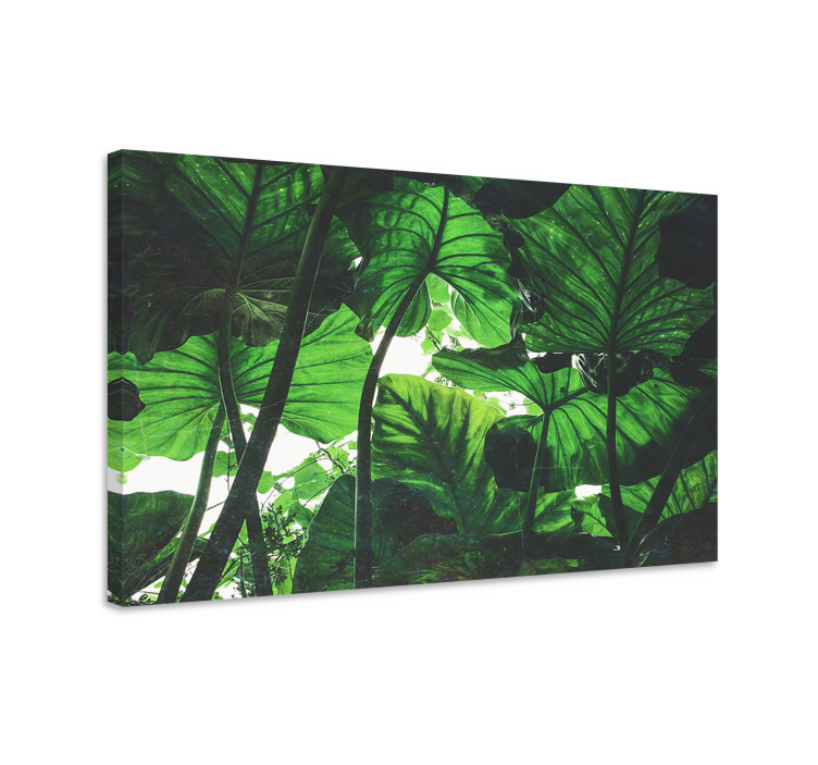 Tableau fleurs et plantes canopée de feuilles tropicales - TenStickers