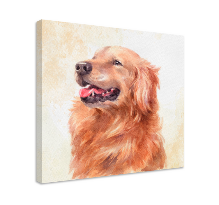 Tableau chiens illustration golden retriever - TenStickers