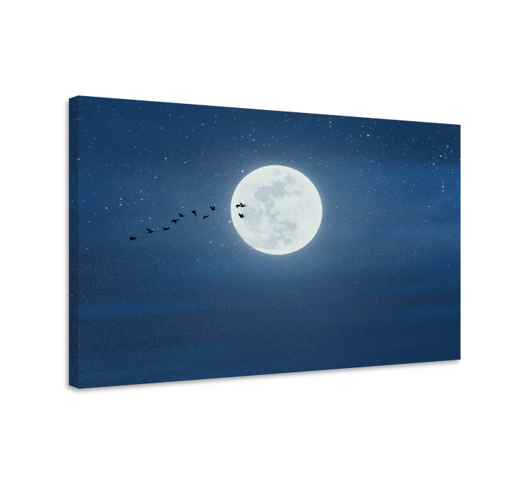 Tableau paysages vol au clair de lune - TenStickers