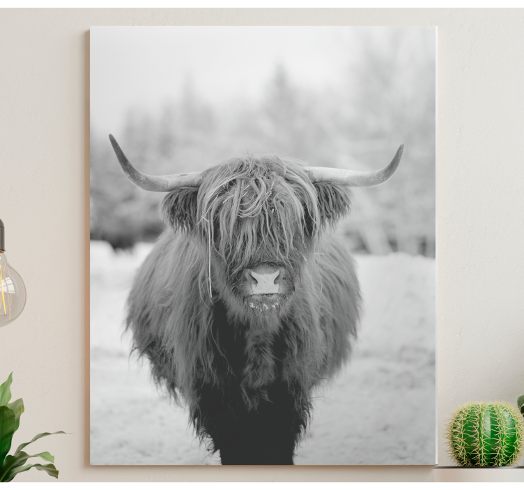 Tableau animaux portrait de vache des highlands - TenStickers