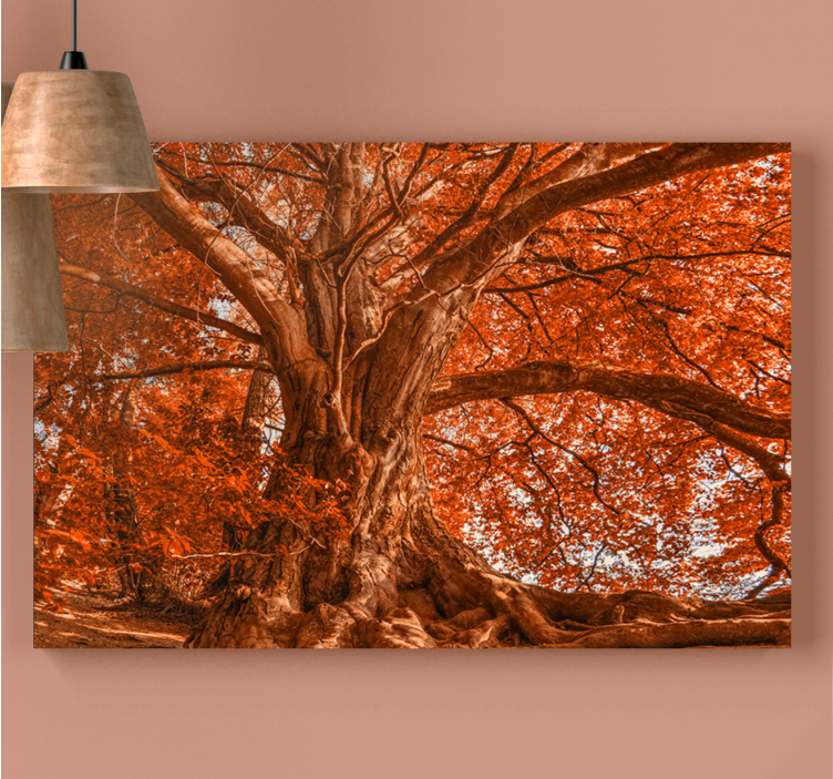 Tableau arbres canopée d'automne majestueuse - TenStickers