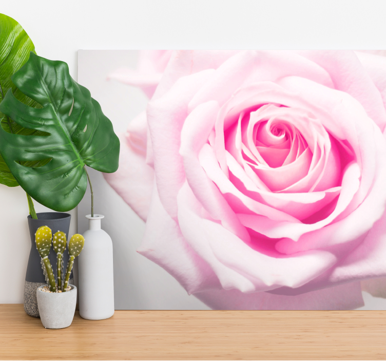 Tableau fleurs et plantes Éclosion de roses blush - TenStickers