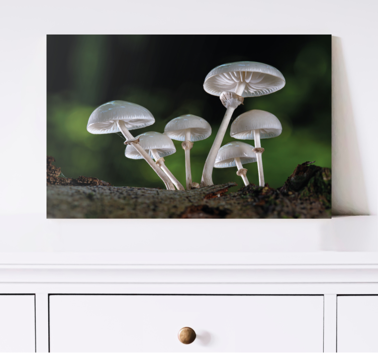 Tableau fleurs et plantes scène de forêt de champignons - TenStickers