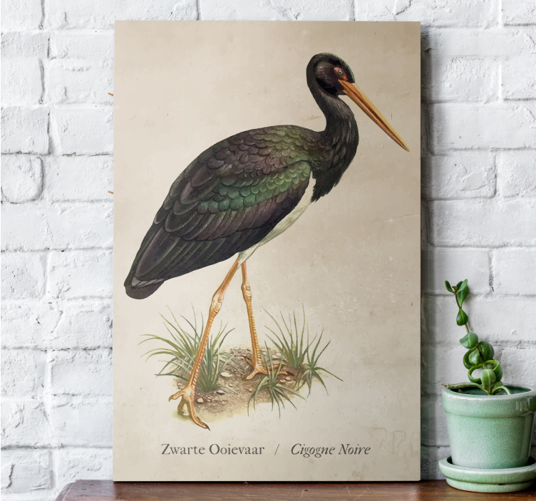 Tableau oiseaux cigogne noire affiche - TenStickers