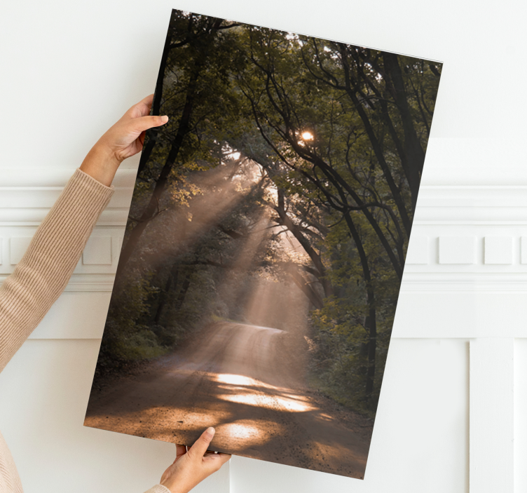 Tableau paysages sentier forestier ensoleillé - TenStickers