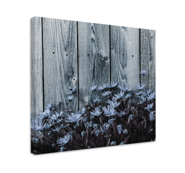 Tableau marguerites sur une planche de bois grise - TenStickers