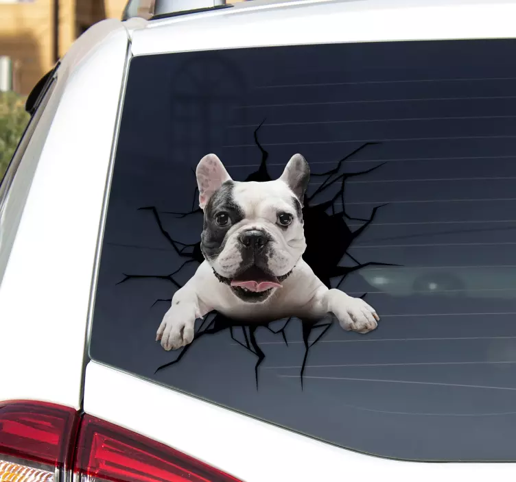 Autocollant voiture chien vitre cassée personnalisable - TenStickers