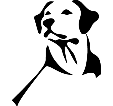 Autocollant voiture labrador - TenStickers