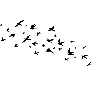 Sticker camping car vol de oiseaux en plein ciel - TenStickers