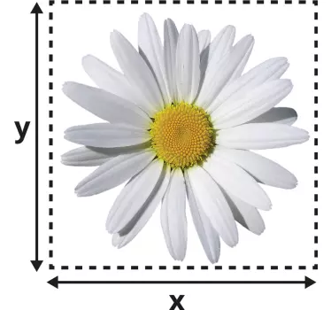 Sticker interrupteur marguerite - TenStickers