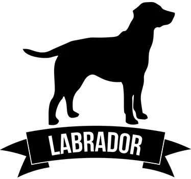 sticker texte labrador - TenStickers