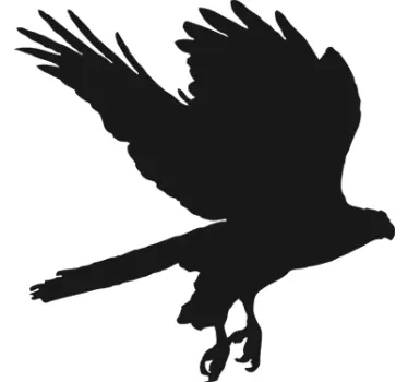 Sticker ardoise aigle craie - TenStickers