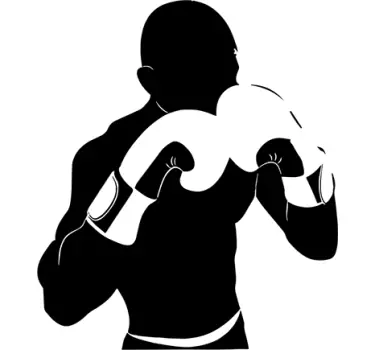 sticker boxe - TenStickers