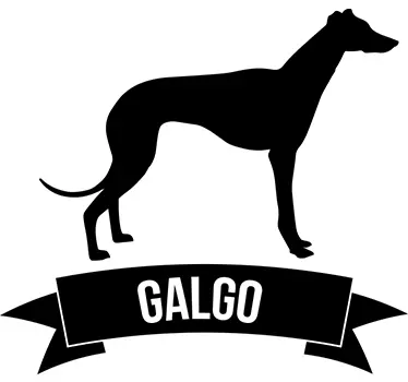 Sticker greyhound - TenStickers