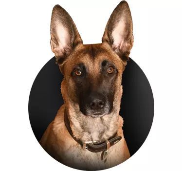 T-shirt berger belge - TenStickers