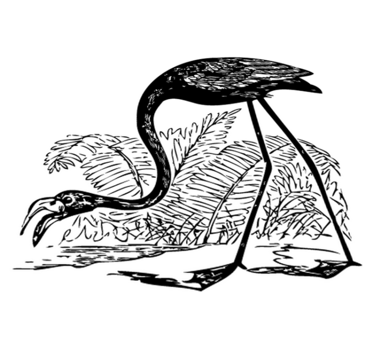 Tapis vinyle animal flamant rose et fougères - TenStickers