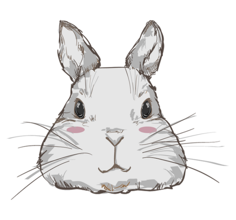 Tapis vinyle animal tête de lapin mignonne - TenStickers