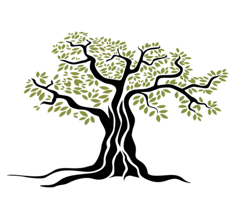 Tapis vinyle fleurs et plantes arbre olive noir vert - TenStickers