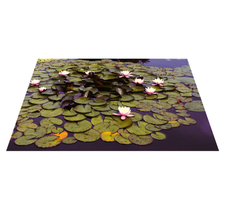 Tapis vinyle fleurs et plantes beauté du nénuphar - TenStickers