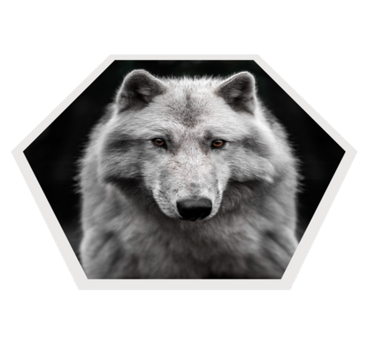 Tapis vinyle animal portrait de loup - TenStickers
