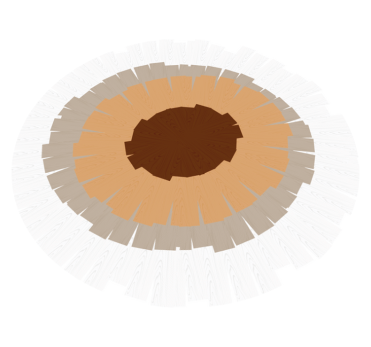 Tapis vinyle imitation parquet design tronc circulaire - TenStickers