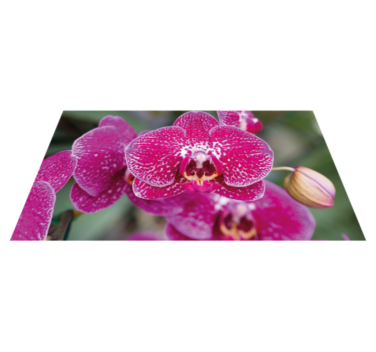 Tapis vinyle fleurs et plantes orchidées éclatantes - TenStickers