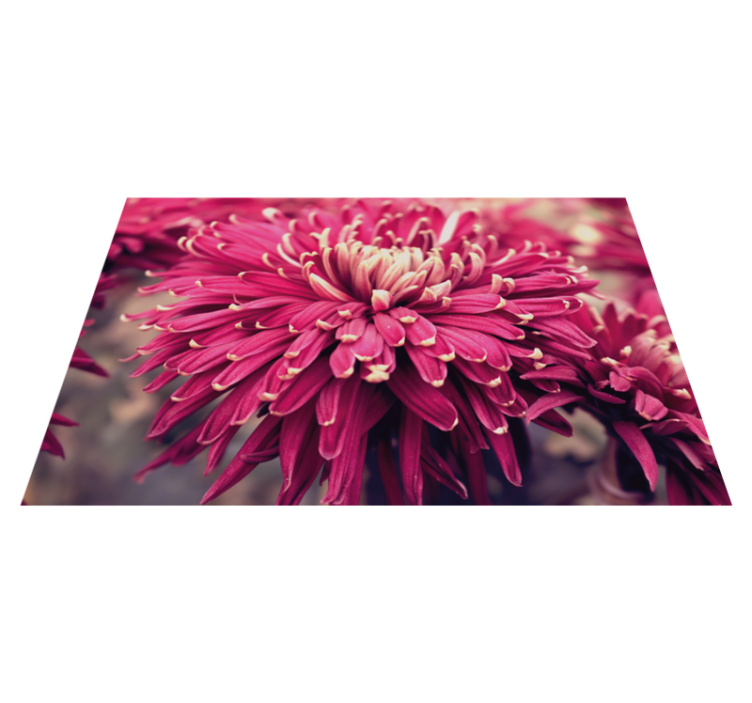 Tapis vinyle fleurs et plantes chrysanthème réaliste - TenStickers