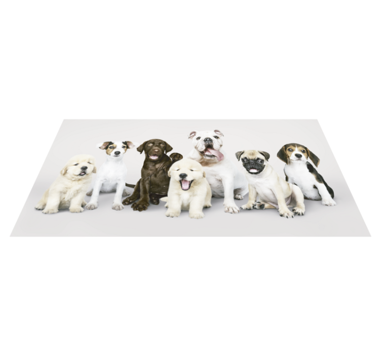Tapis vinyle animaux chiots en ligne - TenStickers