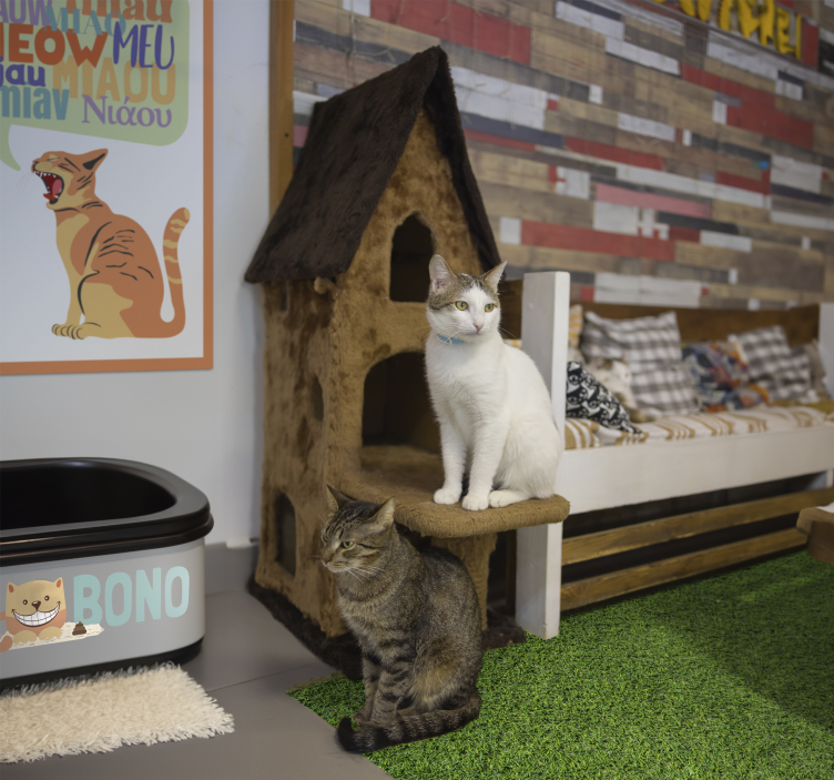 Tapis vinyle texture caractéristique de l'herbe - TenStickers