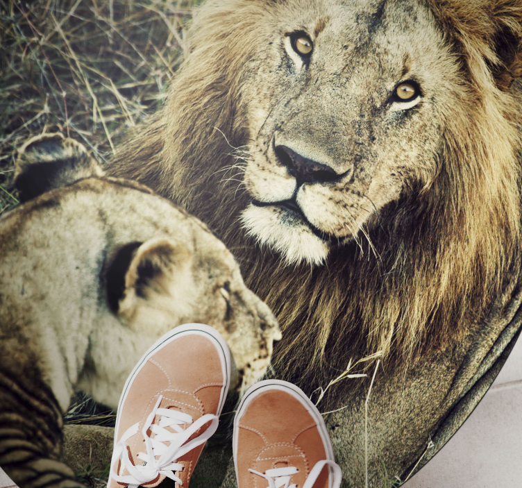 Tapis vinyle animal majestueux couple de lions - TenStickers