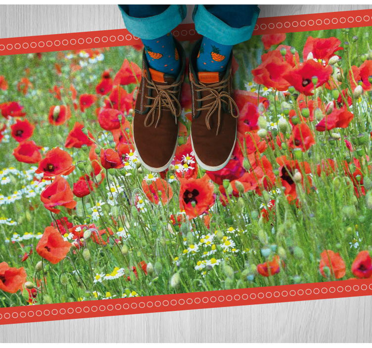 Tapis vinyle fleurs et plantes champ de coquelicots réaliste - TenStickers