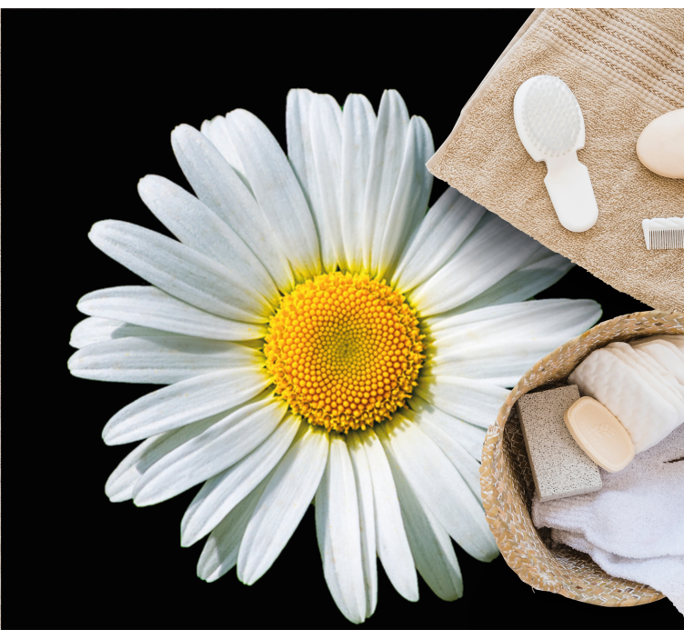 Tapis vinyle fleurs et plantes fleur de marguerite - TenStickers