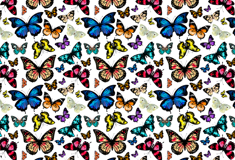Tapis vinyle animal papillons magnifiques et colorés - TenStickers