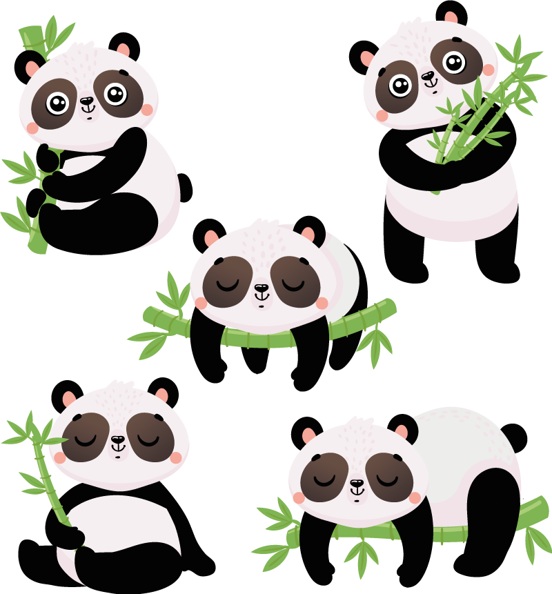 Tapis vinyle animal illustrations de panda mignon - TenStickers