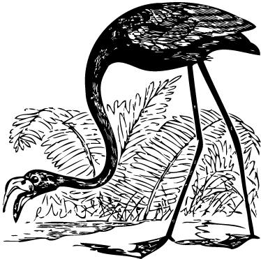 Tapis vinyle animal flamant rose et fougères - TenStickers