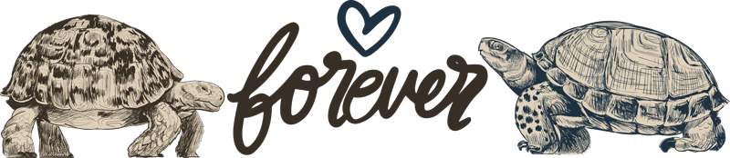 Tapis vinyle animal citation d'amour des tortues - TenStickers