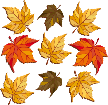 Tapis vinyle fleurs et plantes feuilles d'automne - TenStickers